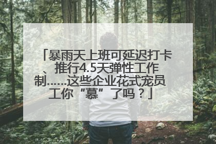 暴雨天上班可延迟打卡、推行4.5天弹性工作制……这些企业花式宠员工你“慕”了吗？